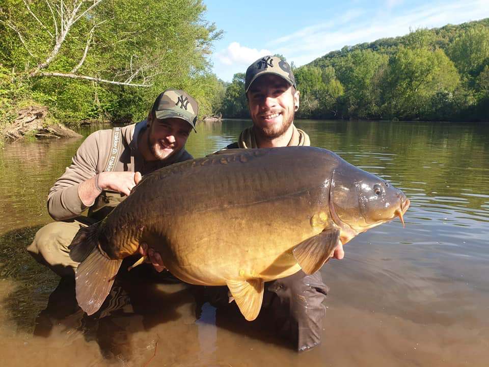 Pêche à la carpe