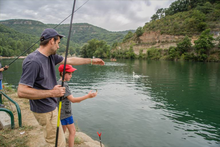 Pêche au coup les petits poissons